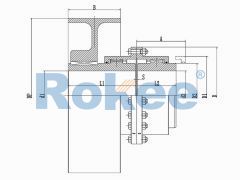 RODU Curved Tooth Couplings,RODU Brake Wheel Drum Gear Coupling